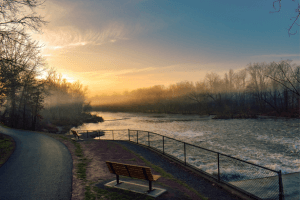 Untitled design - 2023-12-07T120458.378